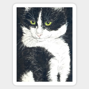 Tuxedo cat Sticker